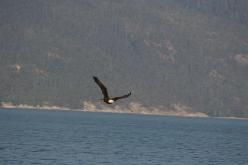 062404 Haines AK (10081)